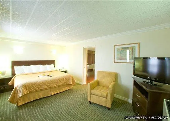 Comfort Hotel Airport North Toronto