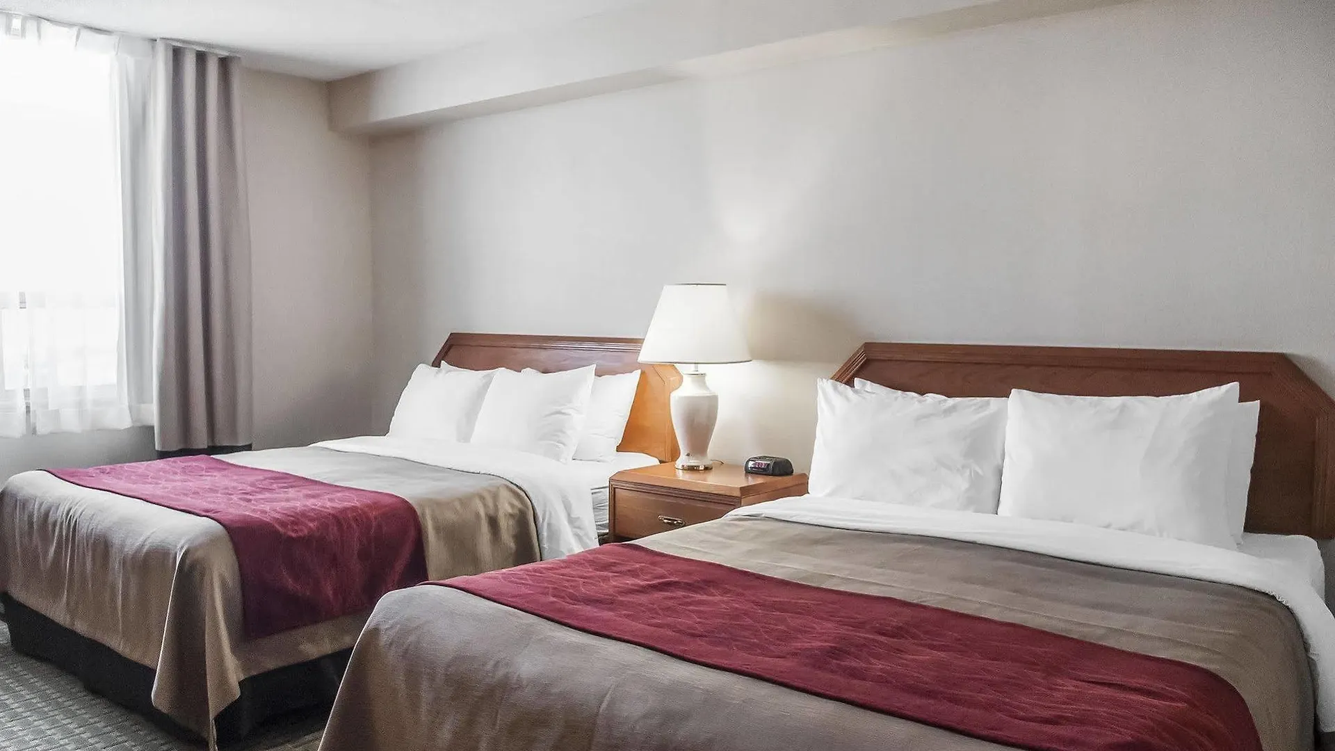 Comfort Hotel Airport North Toronto