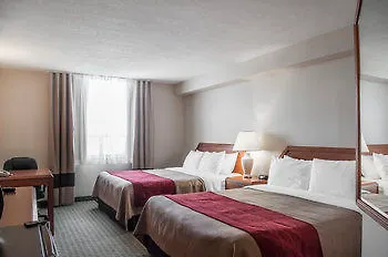 ***  Comfort Hotel Airport North Toronto Canada